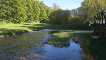 Завершение благоустройства парка &laquo;Каменка&raquo; в Новосибирске запланировано на ноябрь 2025 года