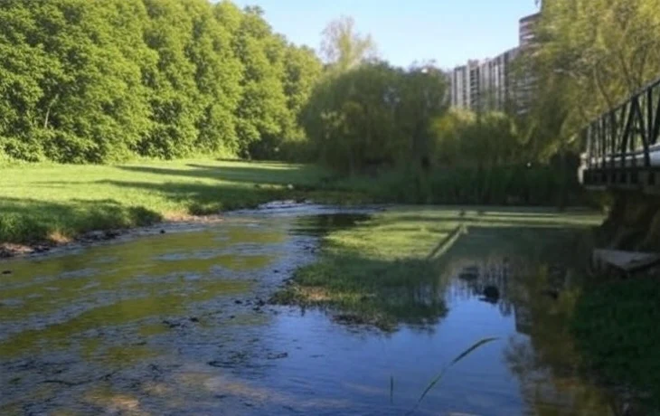 Завершение благоустройства парка &laquo;Каменка&raquo; в Новосибирске запланировано на ноябрь 2025 года