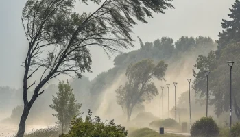 На Кубани 4 сентября ожидаются жара до +31 &deg;C, туман и сильный ветер