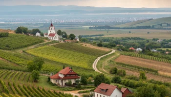 На Кубани расцветает агротуризм: фермы улиток, сыры и винные маршруты привлекают тысячи гостей